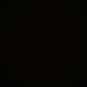 Meet your Posher, Ryleigh